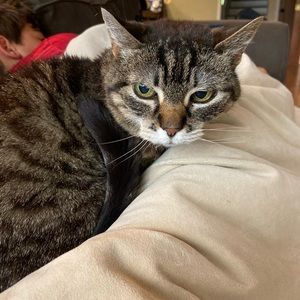 Meet your Posher, Melissa